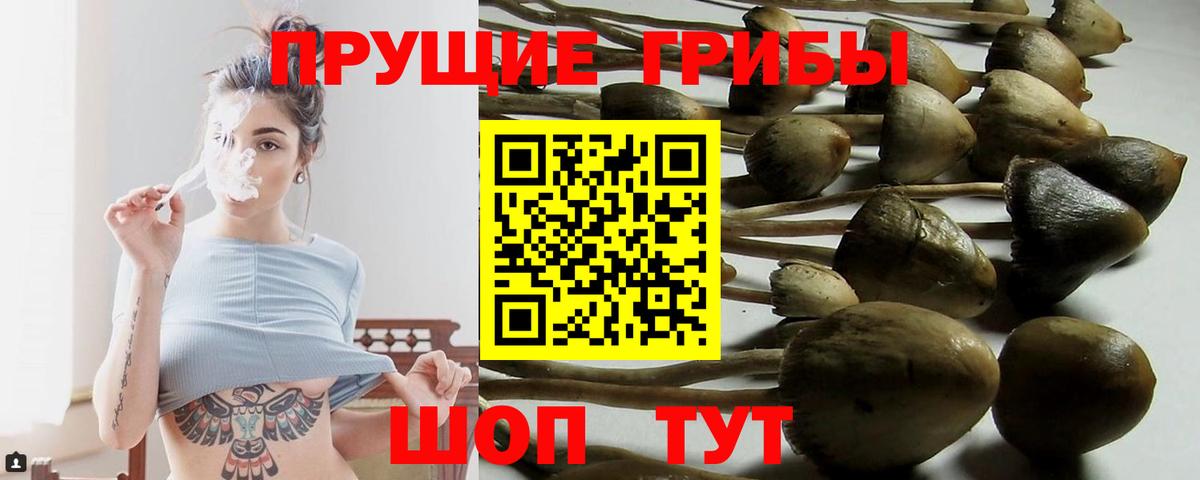 Галлюциногенные грибы MAGIC MUSHROOMS Норильск